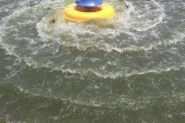 老魚(yú)匠環(huán)流泵怎么樣(老魚(yú)匠水泵哪里生產(chǎn)的)