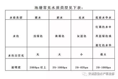 吉印水草燈爆藻嗎(吉印燈爆藻怎么樣)