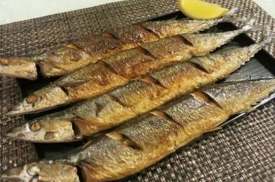 吉印魚缸燈哪個系列好用(吉印魚缸燈怎么樣)
