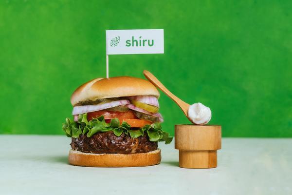 祥龍水族館親子活動時間表（祥龍水族館為家庭提供了一系列親子活動時間表，旨在促進家庭成員之間的互動和理解） 祥龍水族館親子活動時間表（祥龍水族館為家庭提供了一系列親子活動時間表，旨在促進家庭成員之間的互動和理解） 水族館百科（水族館加盟） 第2張