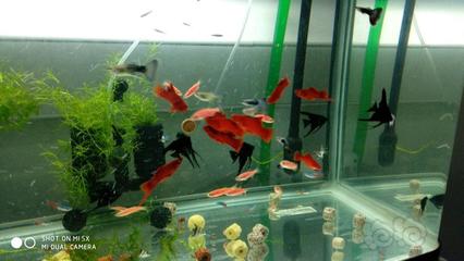 魚缸玻璃膠滲水怎么回事（ 魚缸玻璃膠滲水怎么回事兒）