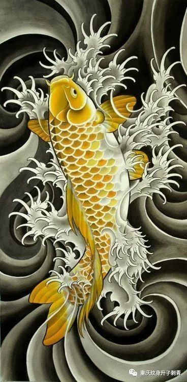 鯉魚紋一般人壓不住嗎，《鯉魚紋一般人壓不住嗎》 鯉魚紋一般人壓不住嗎，《鯉魚紋一般人壓不住嗎》 龍魚百科 第3張