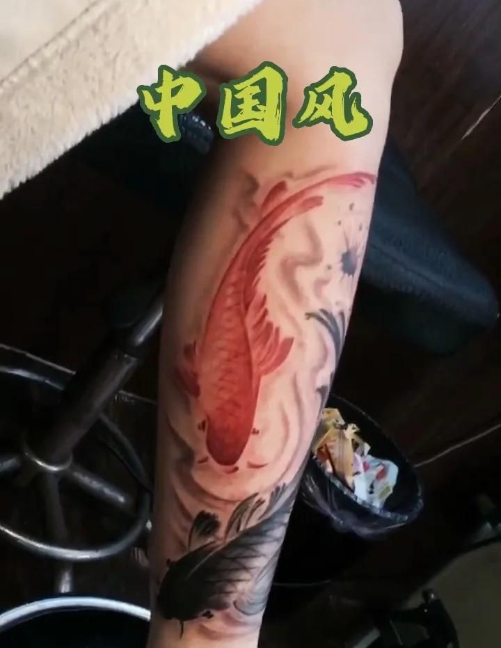 鯉魚紋一般人壓不住嗎，《鯉魚紋一般人壓不住嗎》 鯉魚紋一般人壓不住嗎，《鯉魚紋一般人壓不住嗎》 龍魚百科 第6張