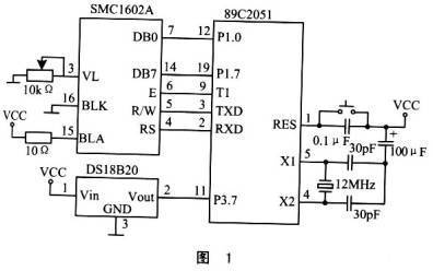 熱帶魚公母分辨圖，如何準確區分熱帶魚的性別，熱帶魚公母分辨指南，如何準確區分熱帶魚的性別