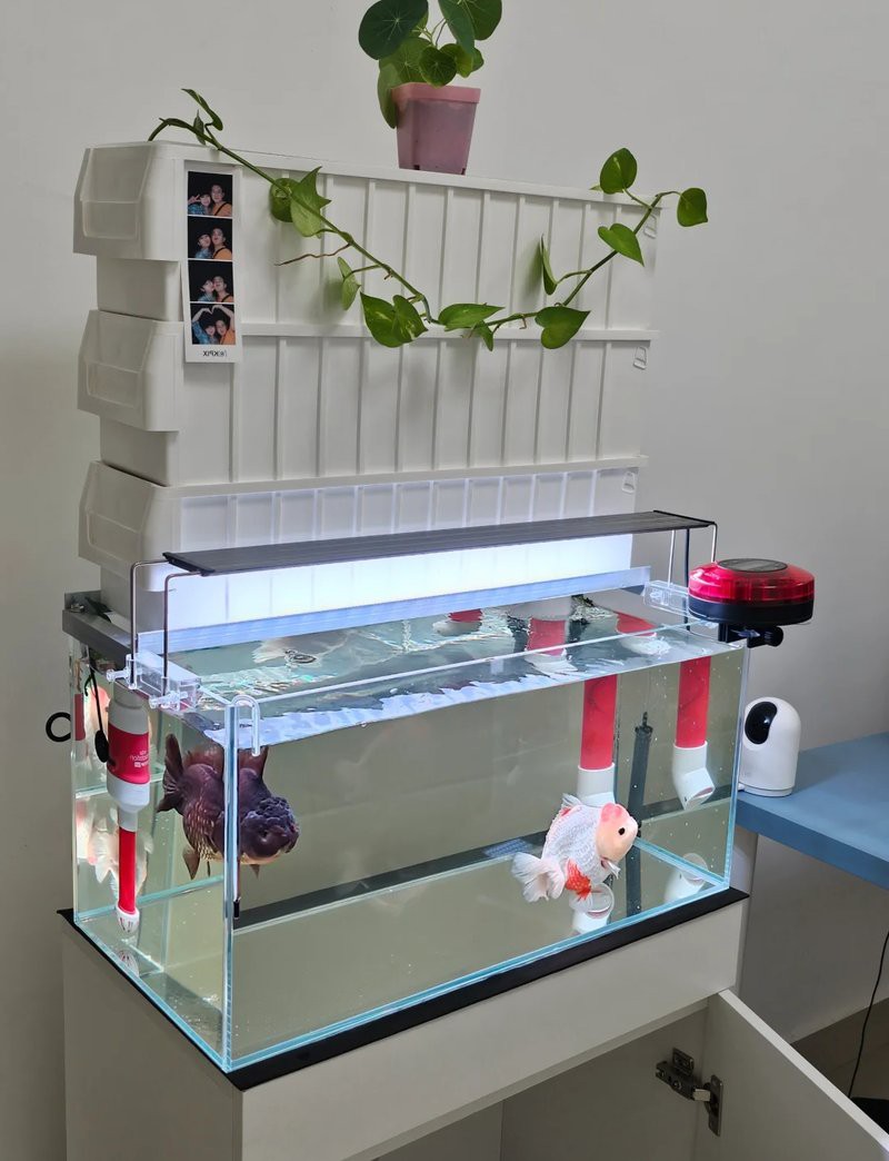 二手魚缸出售批發市場，二手魚缸市場的盈利秘密