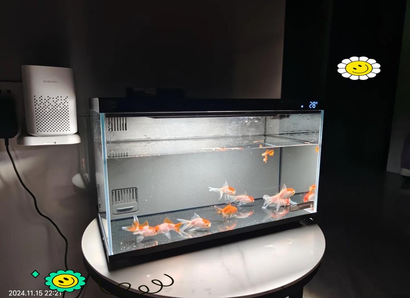 二手魚缸出售批發市場，二手魚缸市場的盈利秘密