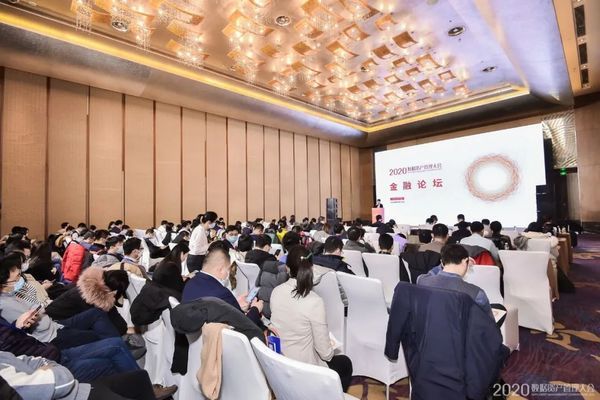 泉魚圖片大全大圖，欣賞清澈水域中的靈動之美，清澈水域中的靈動之美，泉魚圖片大全大圖賞析