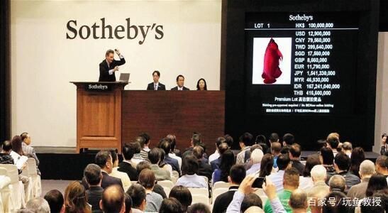 武漢紅龍魚拍賣價格多少：武漢紅龍魚拍賣價格受多種因素影響 武漢紅龍魚拍賣價格多少：武漢紅龍魚拍賣價格受多種因素影響 紅龍魚百科 第4張