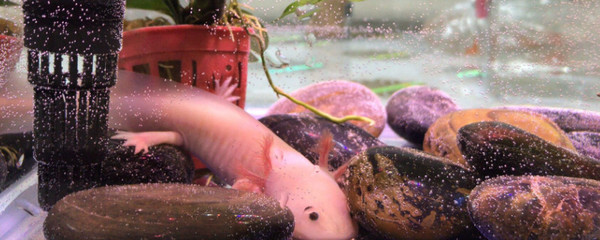 朋友圈曬釣魚句子幽默，釣的不是魚，是快樂！釣的不是魚，是快樂！幽默朋友圈釣魚文案