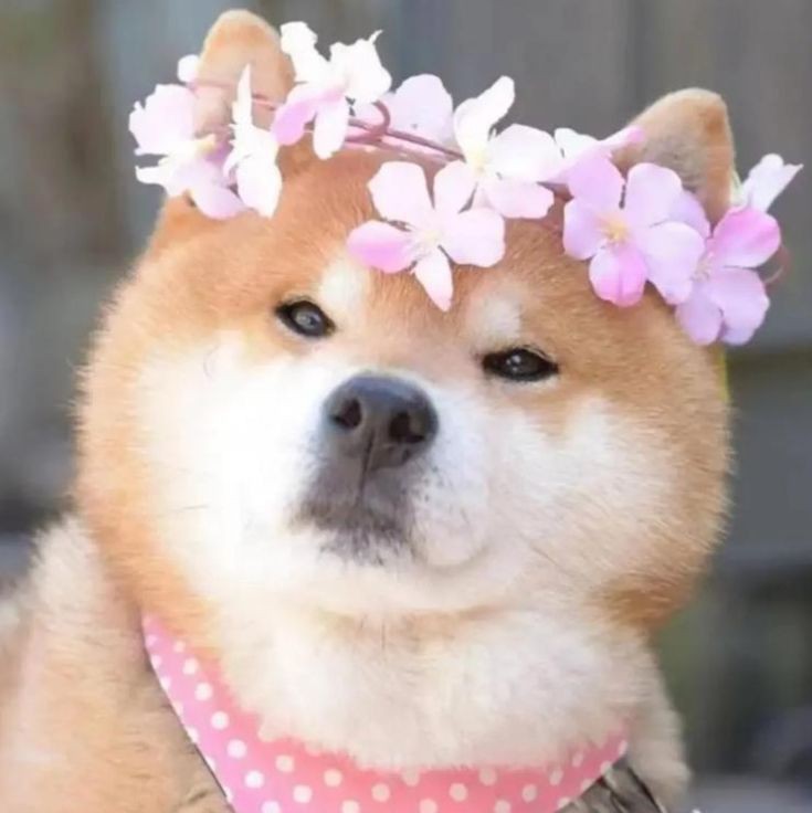 珠海魚缸店，珠海擁有多家特色魚缸店為市民提供豐富的水族產品與服務