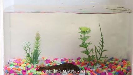 成品魚缸底部開孔視頻大全 成品魚缸底部開孔視頻大全 觀賞魚百科