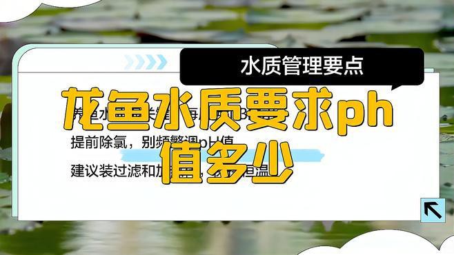 古龍魚的最佳水質參數，古龍魚水質參數多久檢測一次？ 古龍魚的最佳水質參數，古龍魚水質參數多久檢測一次？ 龍魚百科 第1張
