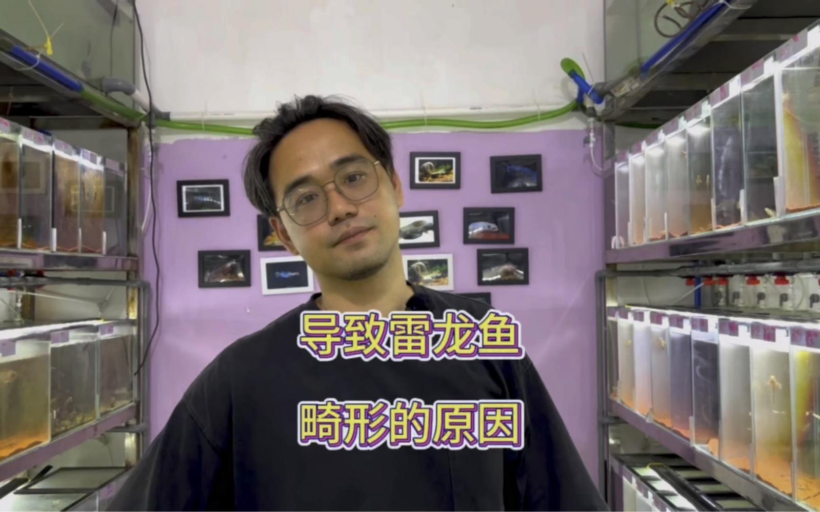 哪些因素會導致龍魚體型畸形？，導致龍魚體型畸形的因素