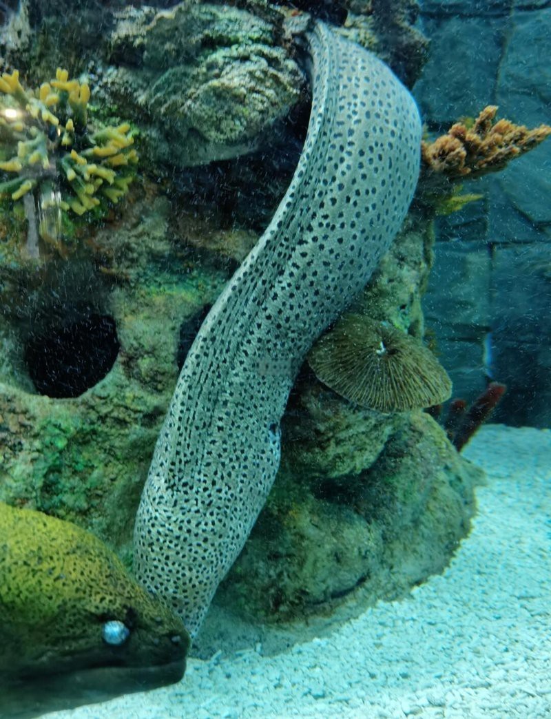 頭屯河水族店，烏魯木齊頭屯河水族店