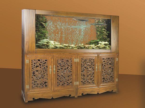 廊坊水族批發市場，廊坊水族批發市場發展歷程與行業生態