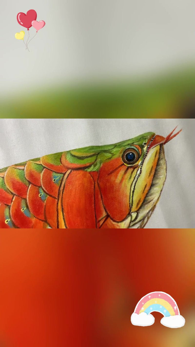 哪里可以找到更多紅龍魚壁紙？，紅龍魚壁紙推薦