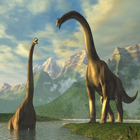 恐龍萬龍簡介，「科普」腕龍的奇妙世界