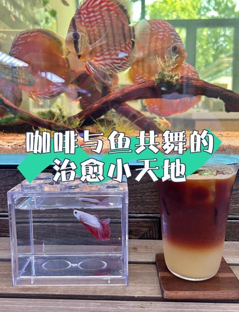 休寧水族店【休寧縣海底世界水族館為何注銷休寧水族店何時(shí)注銷】