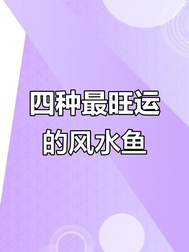 有哪些魚適合招財旺運？，八大觀賞魚的寓意,選哪種最適合你 有哪些魚適合招財旺運？，八大觀賞魚的寓意,選哪種最適合你 龍魚百科 第2張