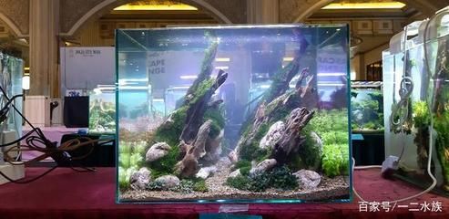 8mm玻璃魚缸承重：8mm玻璃魚缸的承重能力 8mm玻璃魚缸承重：8mm玻璃魚缸的承重能力 魚缸百科 第3張