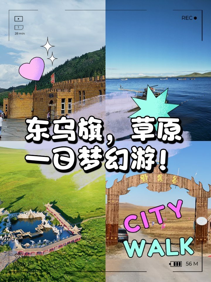 東烏旗龍魚店【東烏旗地區存在專門的龍魚店鋪或相關經營信息】