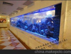 湛江魚缸批發市場，湛江魚缸批發市場分析 湛江魚缸批發市場，湛江魚缸批發市場分析 全國水族館企業名錄 第4張