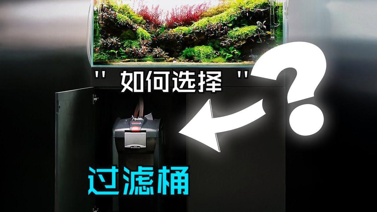 如何選擇魚缸過濾器，如何挑選合適的魚缸過濾器