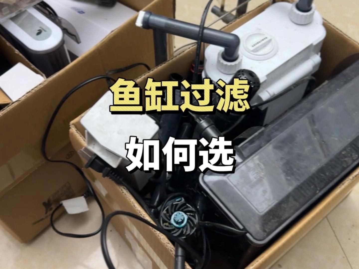 如何選擇魚缸過濾器，如何挑選合適的魚缸過濾器