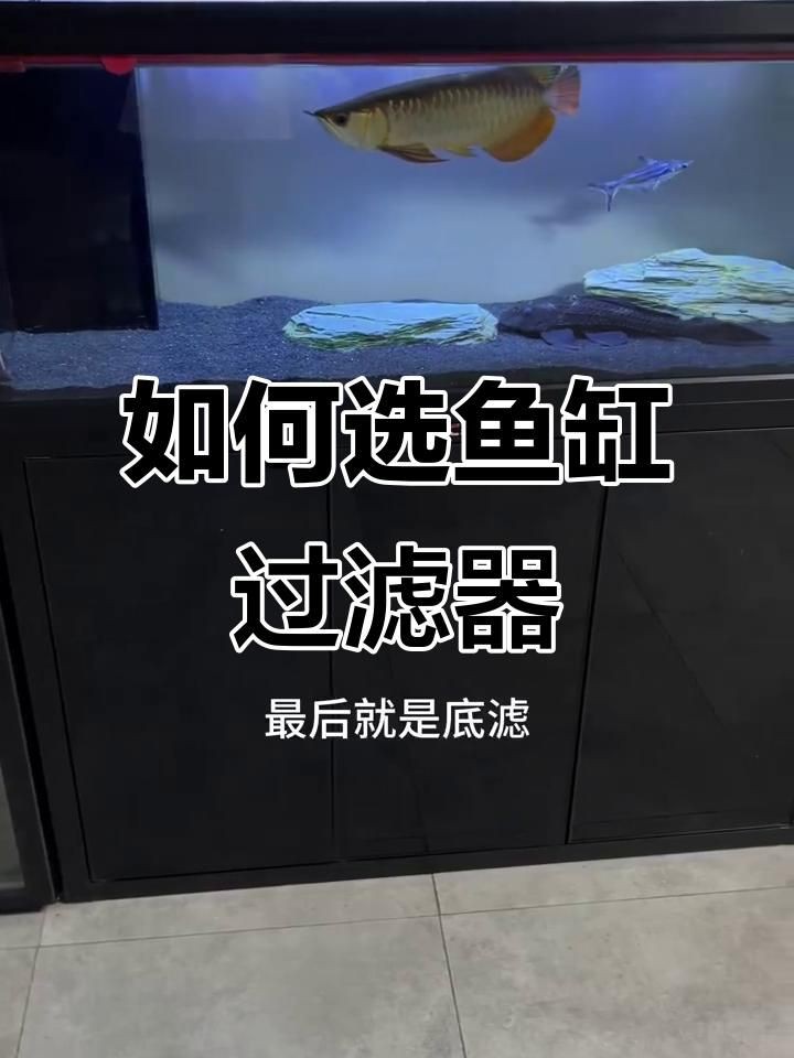 如何選擇魚缸過濾器，如何挑選合適的魚缸過濾器