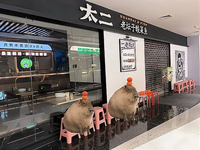 <strong><mark>太白</mark></strong>龍魚店，<strong><mark>太白</mark></strong>龍魚店有哪些外賣套餐