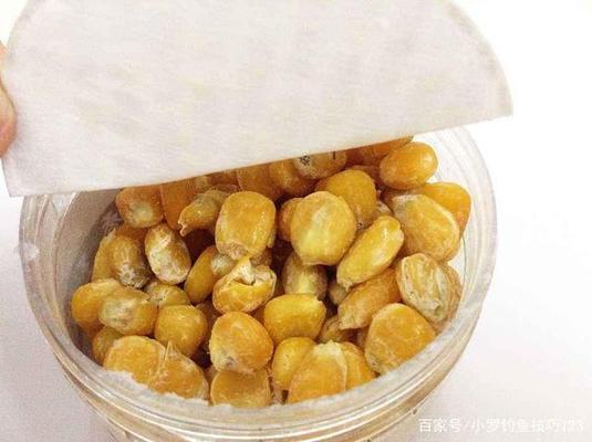 老式魚缸底濾安裝圖解，詳細步驟與注意事項