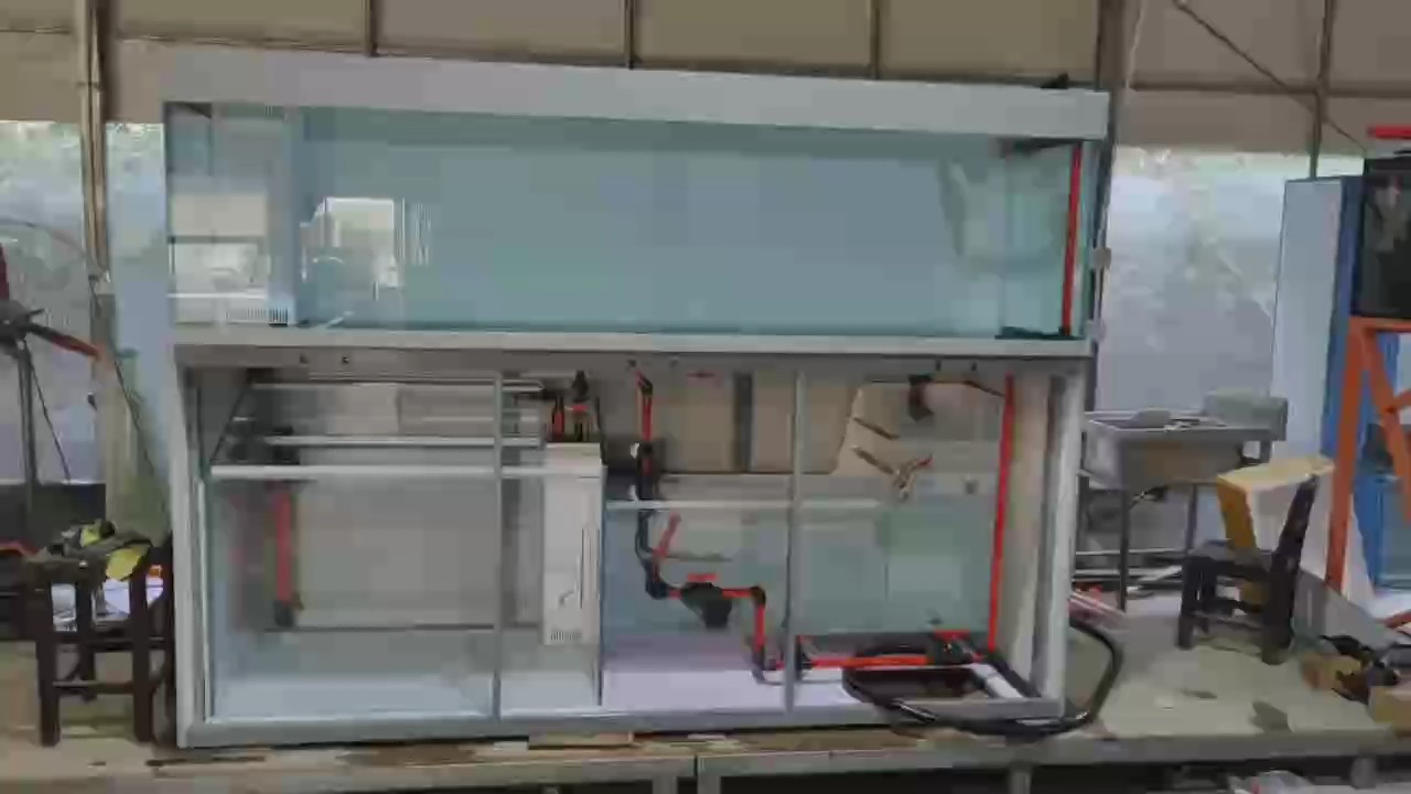 2.36米兔缸試水中 2.36米兔缸試水中 龍魚論壇