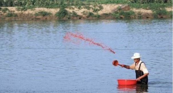 伊罕150過濾桶(伊罕350過濾桶)