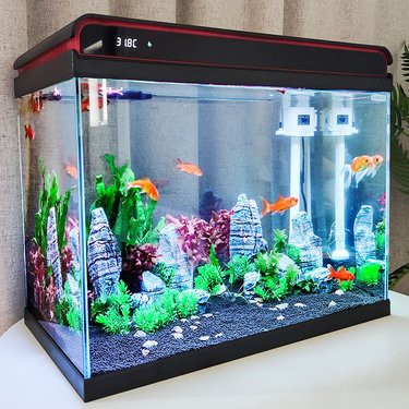安國水族店，安國水族店有哪些特色產品 安國水族店，安國水族店有哪些特色產品 全國水族館企業名錄 第1張