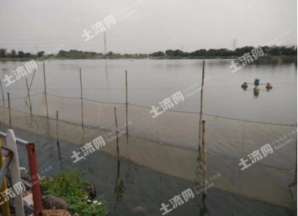 荊州魚缸哪里有賣的地方啊圖片（ 荊州魚批發市場在哪里） 荊州魚缸哪里有賣的地方啊圖片（ 荊州魚批發市場在哪里） 博特水族 第2張