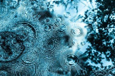 高清紅龍魚壁紙設置方法，《高清紅龍魚壁紙設置方法》 高清紅龍魚壁紙設置方法，《高清紅龍魚壁紙設置方法》 龍魚百科 第3張