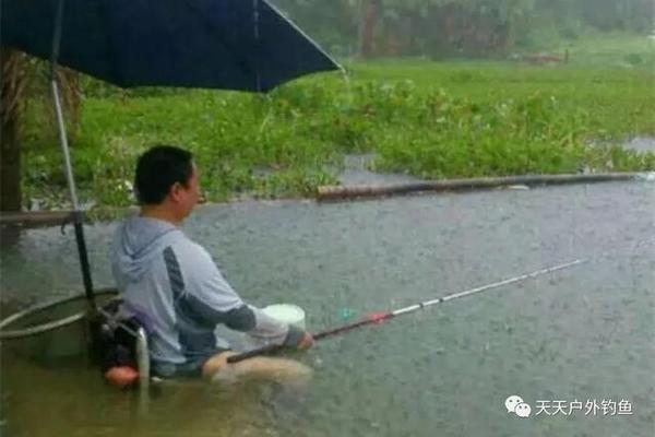 銀龍魚被別的魚咬傷要死能活嘛(銀龍魚咬傷手有危險(xiǎn)嗎)