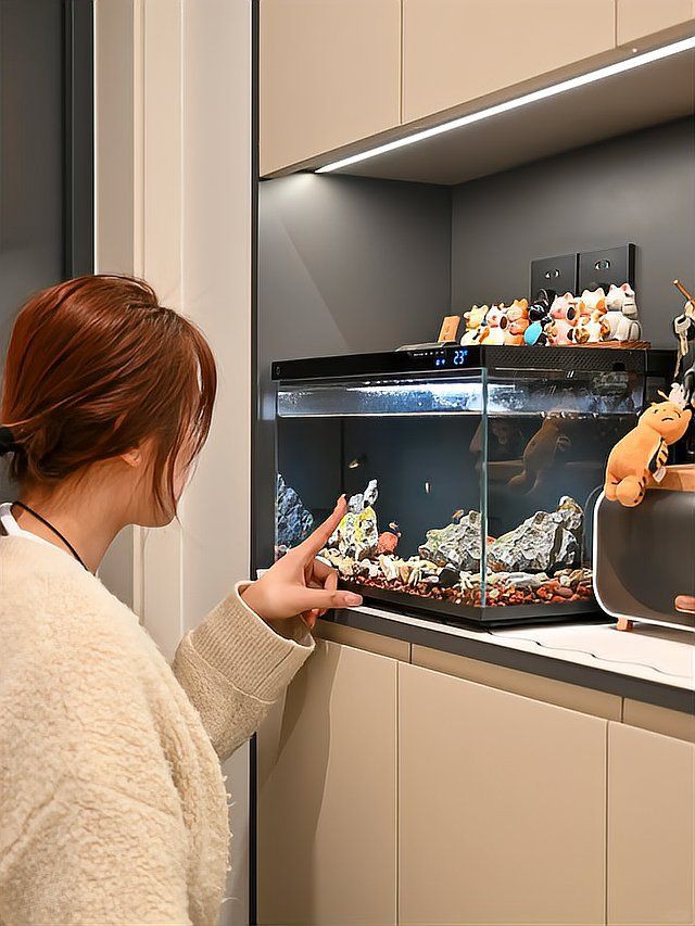 龍魚缸最忌三個地方