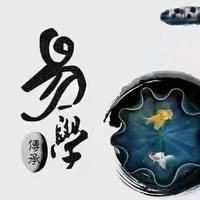 龍魚缸最忌三個(gè)地方