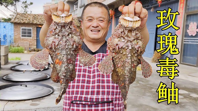 玫瑰魚可以吃嗎