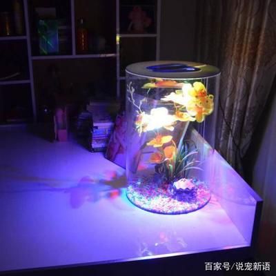 亞克力材質魚缸好嗎（亞克力魚缸與玻璃魚缸對比,如何修復亞克力魚缸劃痕,亞克力魚缸老化處理方法）