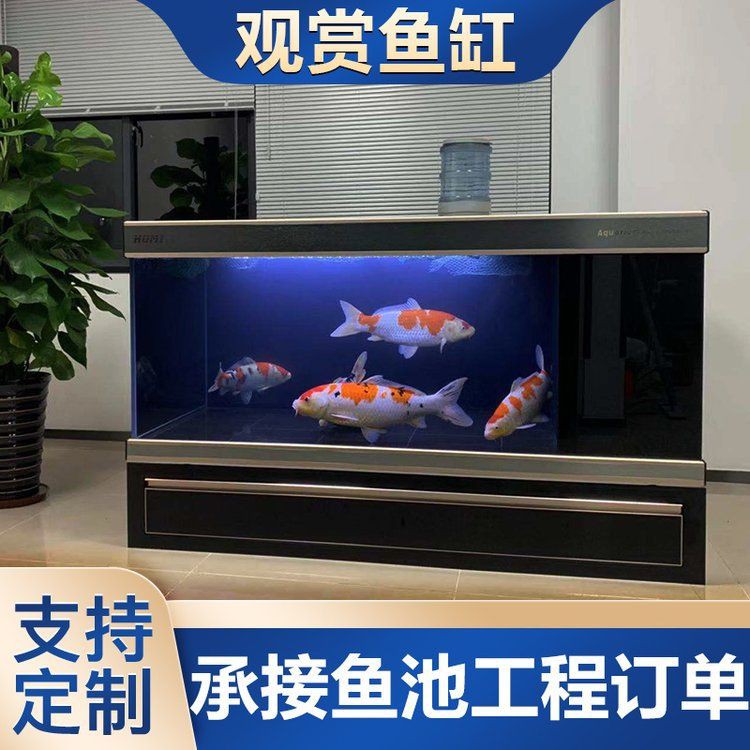 安順魚缸定做，安順地區魚缸定做服務