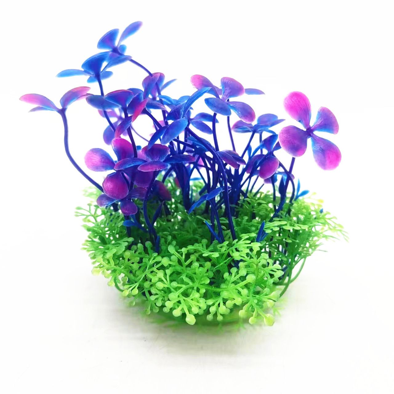 創魔魚缸擺件分布圖：《創造與魔法》中魚缸擺件分布圖詳情