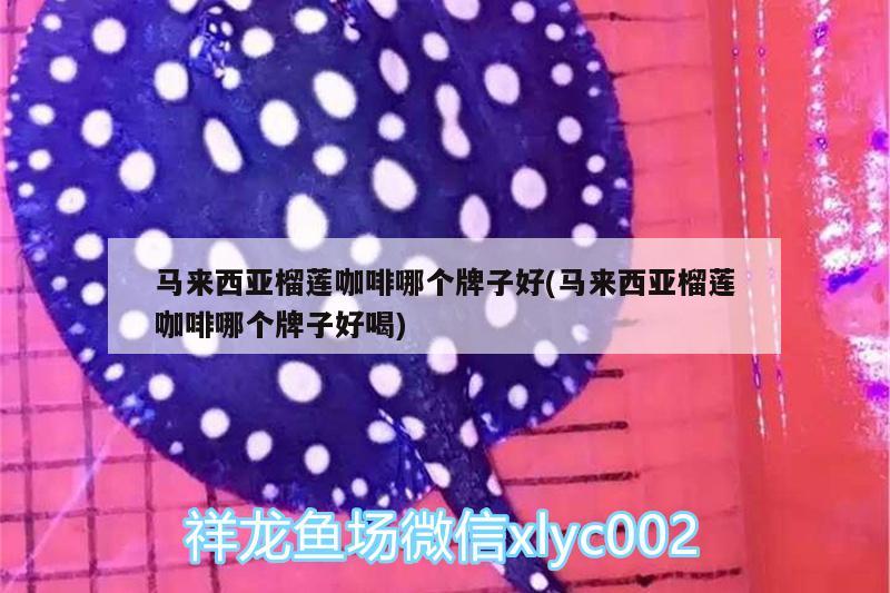 龍魚(yú)怕什么 馬來(lái)西亞榴蓮咖啡哪個(gè)牌子好(馬來(lái)西亞榴蓮咖啡哪個(gè)牌子好喝) 馬來(lái)西亞咖啡 馬來(lái)西亞榴蓮咖啡哪個(gè)牌子好(馬來(lái)西亞榴蓮咖啡哪個(gè)牌子好喝) 馬來(lái)西亞榴蓮咖啡哪個(gè)牌子好(馬來(lái)西亞榴蓮咖啡哪個(gè)牌子好喝) 馬來(lái)西亞咖啡
