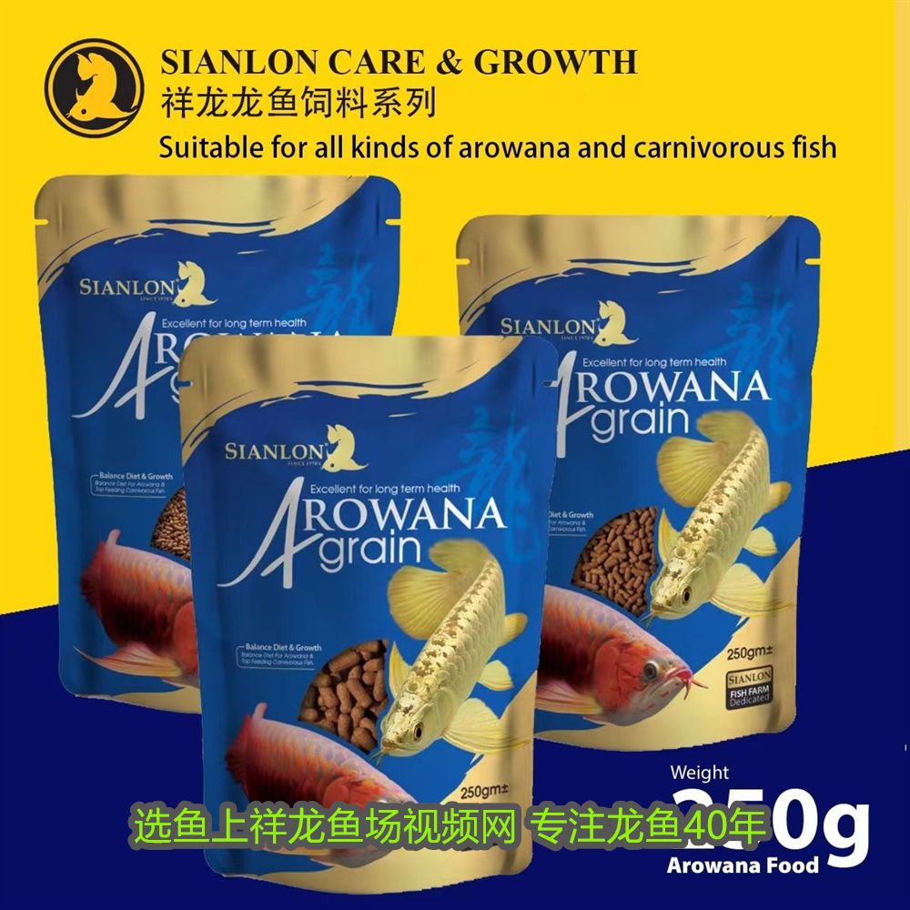 十魚圖的寓意，從傳統繪畫看中國文化的深邃象征，十魚圖，傳統繪畫中的中國文化象征與深邃寓意 十魚圖的寓意，從傳統繪畫看中國文化的深邃象征，十魚圖，傳統繪畫中的中國文化象征與深邃寓意 龍魚百科 第2張