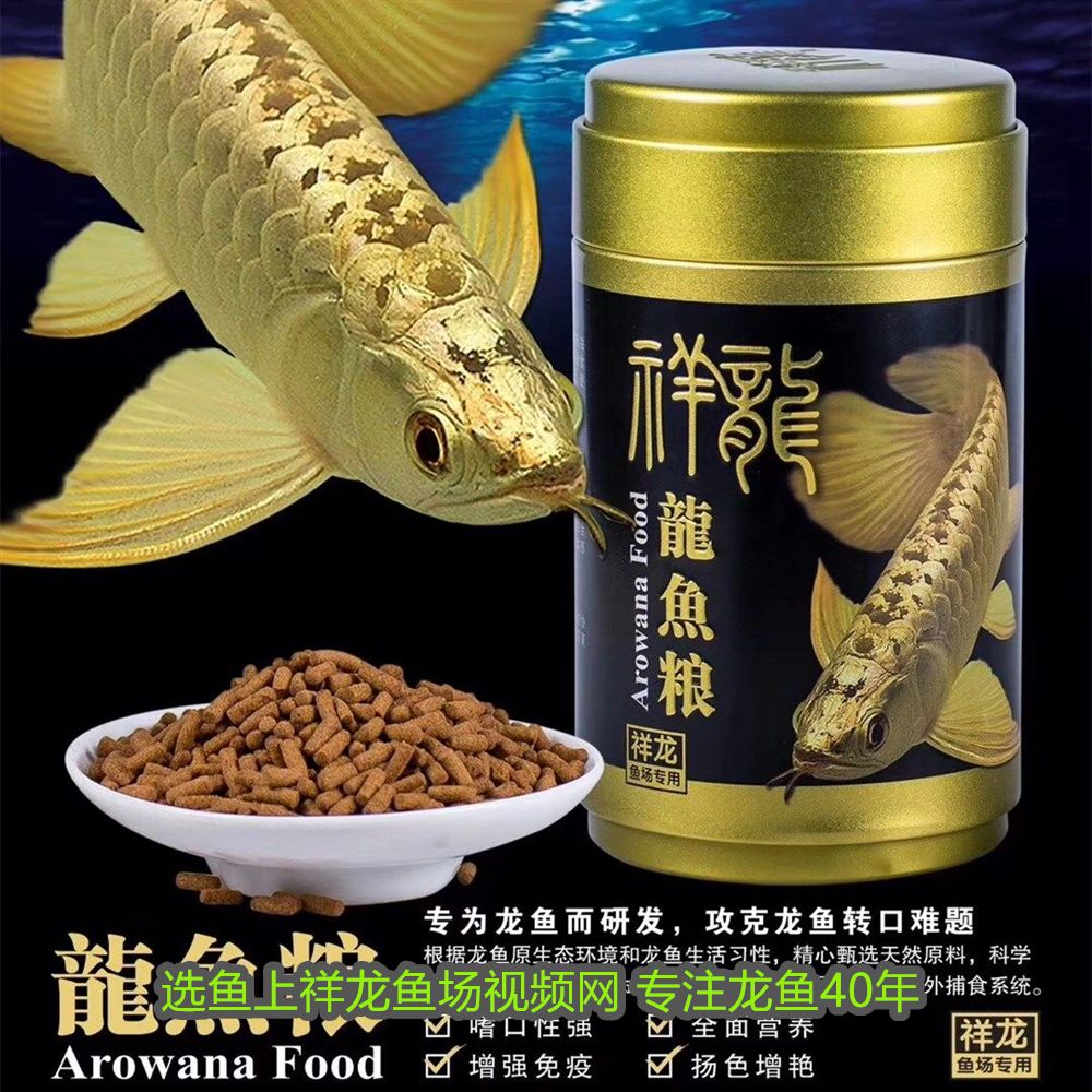 紅龍魚屬于什么科 紅龍魚屬于什么科 龍魚百科 第1張
