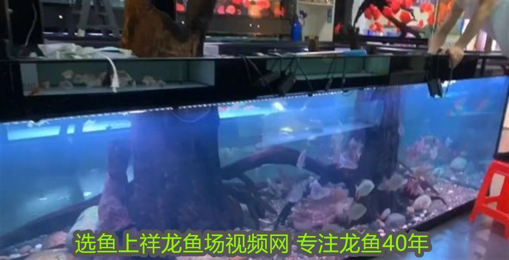 森森過濾桶調節水流量會不會憋壞