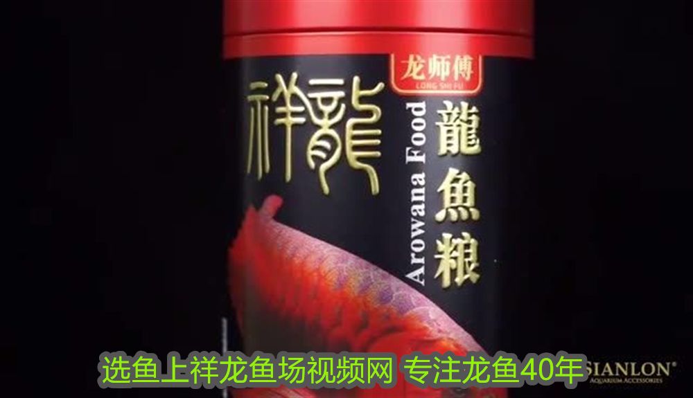 印尼紅龍魚養(yǎng)殖方法和技術(shù)圖解圖片(印尼紅龍魚養(yǎng)殖方法和技術(shù)圖解圖片欣賞) 印尼紅龍魚養(yǎng)殖方法和技術(shù)圖解圖片(印尼紅龍魚養(yǎng)殖方法和技術(shù)圖解圖片欣賞) 紅龍魚百科 第1張