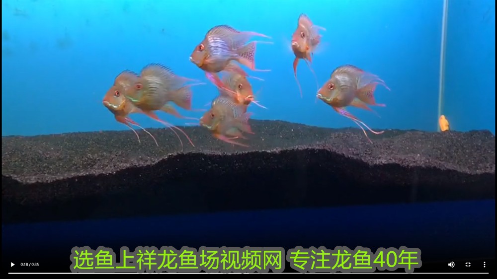 伊罕加熱棒校準重置，伊罕加熱棒校準到頭了