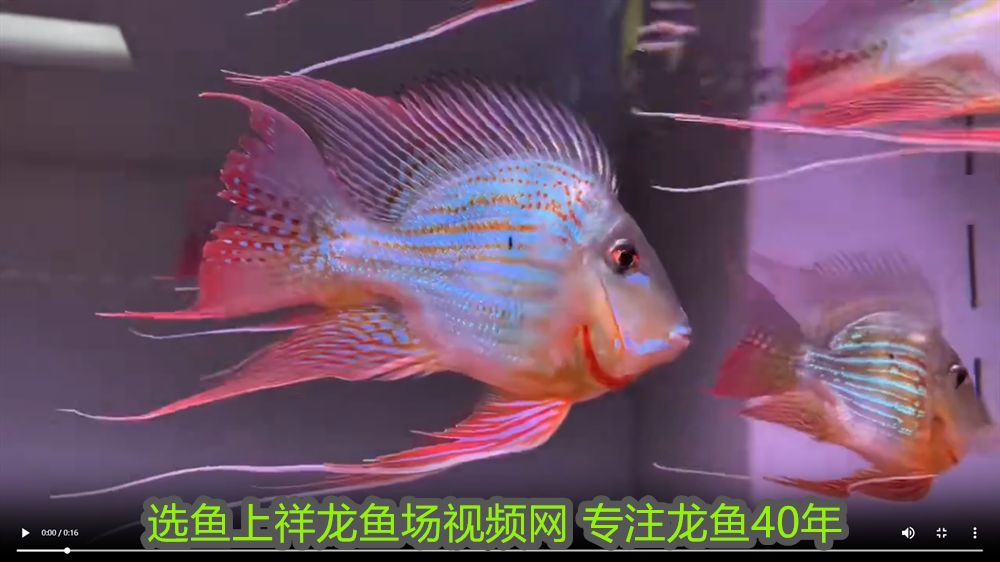 鎮宅最靈的三種東西隨身攜帶：鎮宅最靈的三種東西，守護家宅安寧的神秘寶物